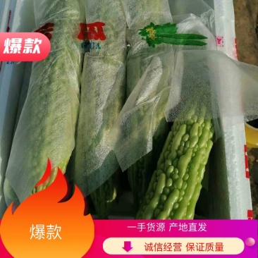 【精品】苦瓜，产地直发，一手货源，充足，质量保证量大优惠