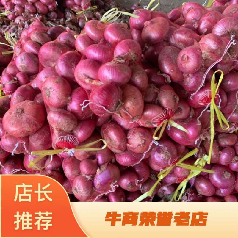 【热销】山东精品二红洋葱，5公斤装，质优价廉、全国发货！
