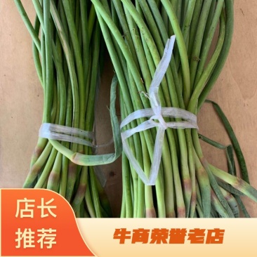 对接商超，红帽蒜苔、质优价廉、产地直销、一吨起批、全国发货