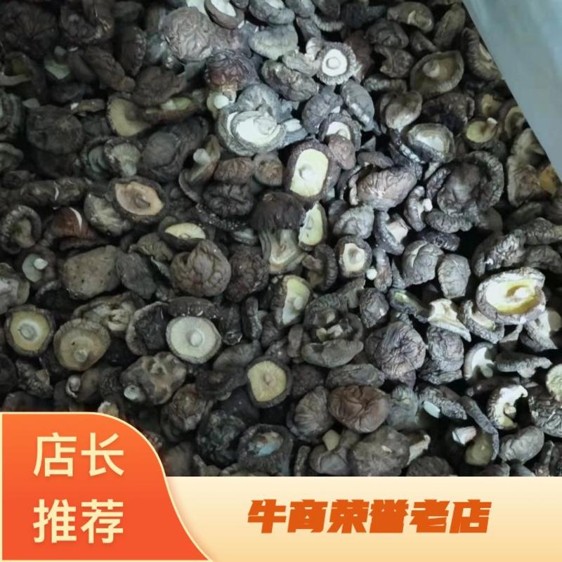 干香菇河南基地直供一手货源品质保证欢迎采购