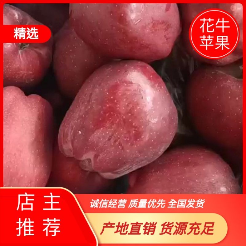 天水花牛苹果全国代发，质量保证，服务一流