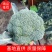 耐寒西兰花可对接超市电商和批发商可视频看货支持各种包装！