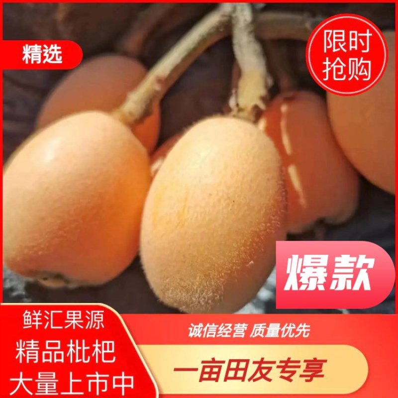 【枇杷】四川枇杷货源充足产地直发物美价廉量大货优