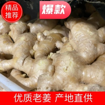 精品老姜，个头大，质量优，有需要的老板随时联系，量大从优。