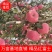 红富士苹果陕西产地精品红富士苹果一手货源品质保证
