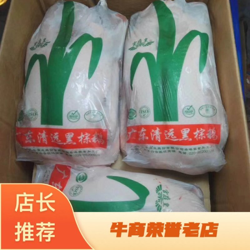 广东黑棕鹅，正宗黑棕鹅，新鲜鹅条保质保量量大价优