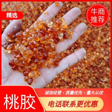 精品桃胶黄红大中小珍珠颗粒桃胶批发包邮量大从优