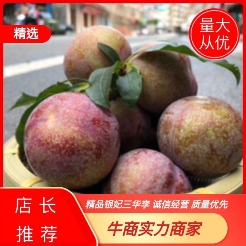 钱排三华李#礼品果，超市供应#社区团购！