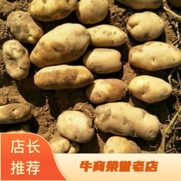 内蒙优质226土豆，货源充足，质量保证，价格美丽可详聊