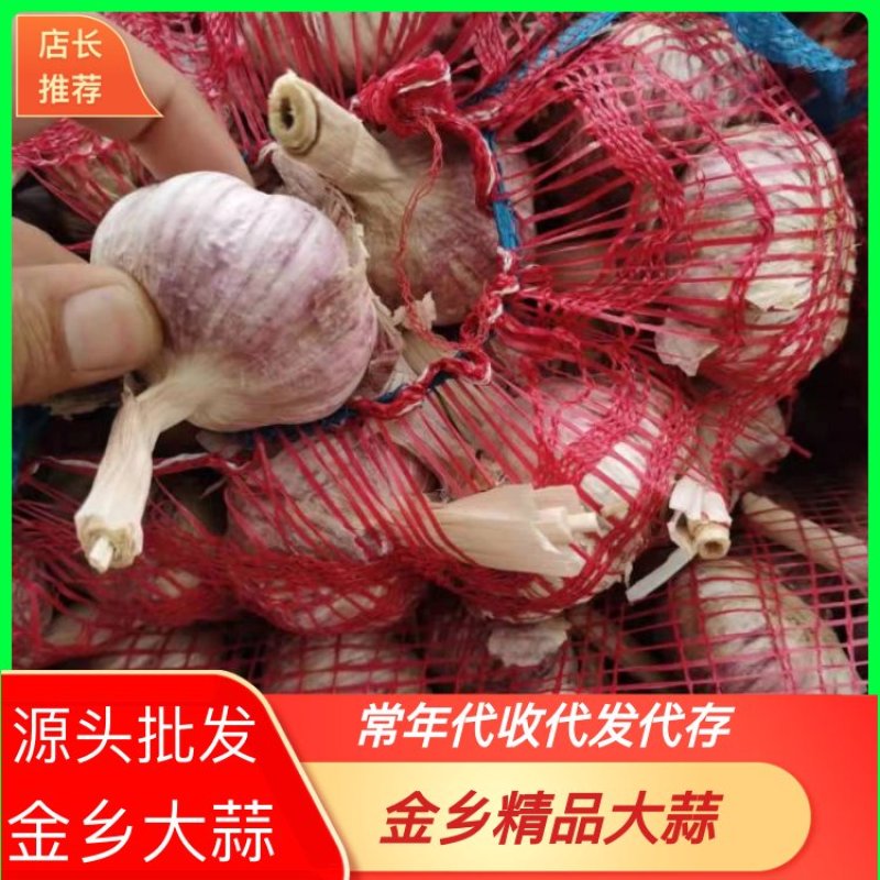 大蒜，常年供，支持商超团购外贸发全国市场，随到随装，保证