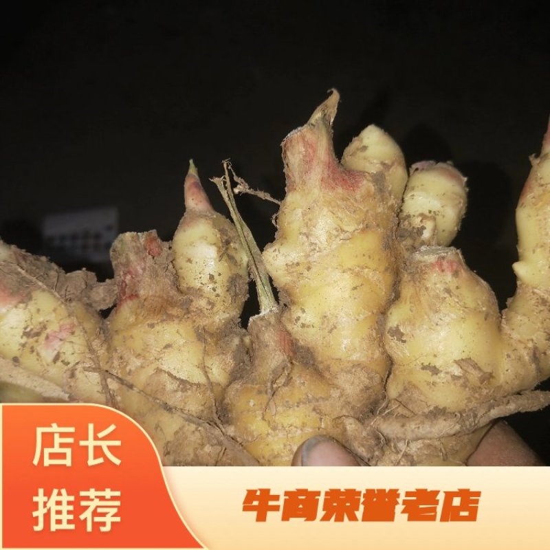 生姜，鲜姜，地窖姜大连有货