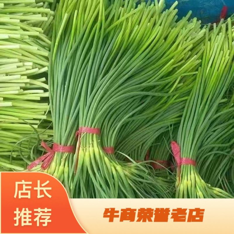 【批发商对接】蒜薹，商超，零售店对接，全国发货，诚信买卖