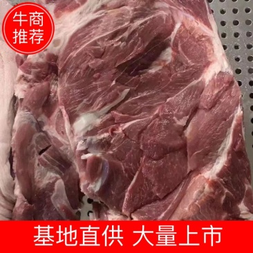 精品五花肉产地直供品质保证