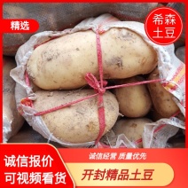 河南土豆希森土豆大量出库三两以上，诚信报价