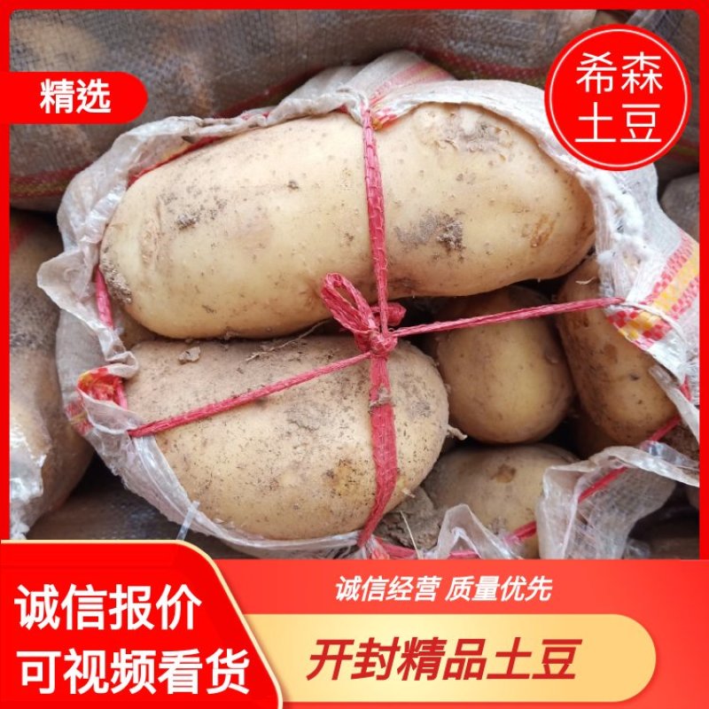 河南土豆希森土豆大量出库三两以上，诚信报价