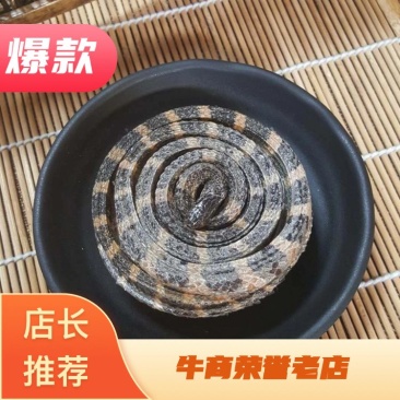 金钱白花蛇真品保证可打粉各种规格大货供应