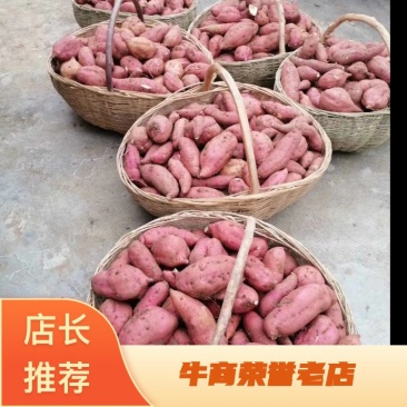 红薯三两以上红皮，白心红薯，长条形，口感好干面甜，诚信