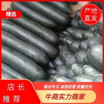 🥇海南黑皮吊冬瓜产地直发一手货源品质保证量大从优