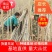 【精选】107速生杨树苗白杨树苗大型种植基地价格优惠