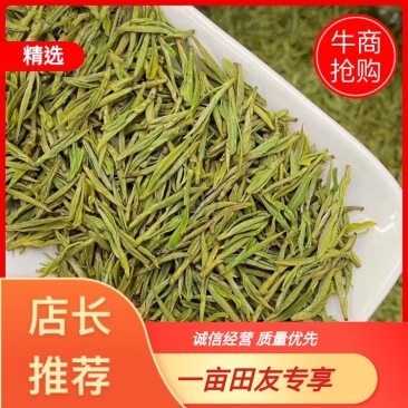 黄金芽，峨眉山白茶，支持全囯一件代发