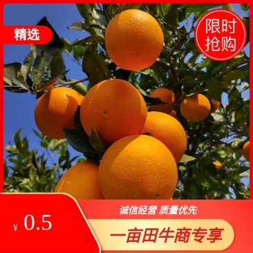 【推荐】重庆奉节县奉节脐橙产地代办货源充足欢迎了解咨询