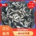 草鱼苗抗病毒快大！量大从优基地直发致电联系