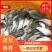 【鲫鱼苗】苗场直供，生长快，成活率高大量出货