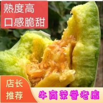 【诚信商家】羊角蜜甜瓜，山东潍坊羊角蜜甜瓜，大棚甜瓜