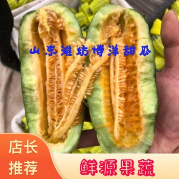 山东博洋9号甜瓜博洋91甜瓜,潍坊产地直供对接电商团购超