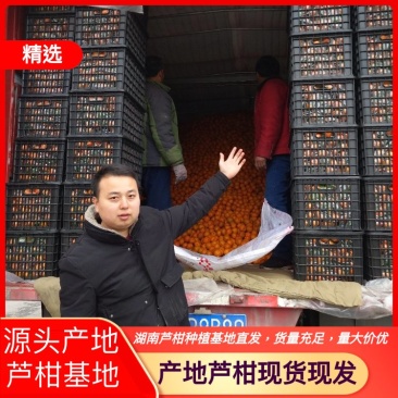 碰柑芦柑口感甜个头大品质保证物美价廉