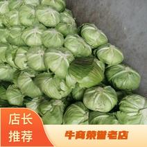 城固县连花白，扁包菜，专业的枝术，不打农药绿色蔬菜，