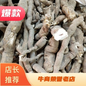 雪里开，拐子药，野生中药材，产地一手货源，批发、零售