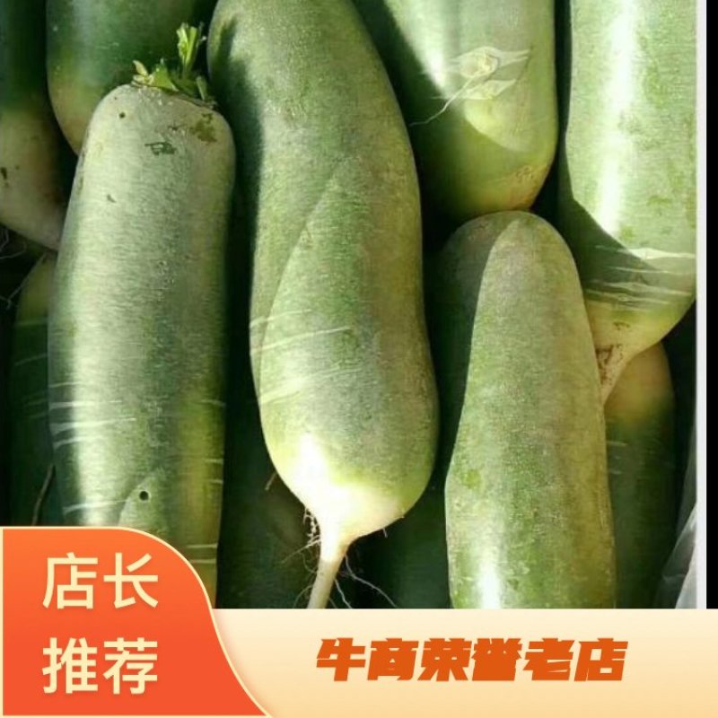 山东省肥城市水果萝卜上市中货源充足，价格合理质量上称