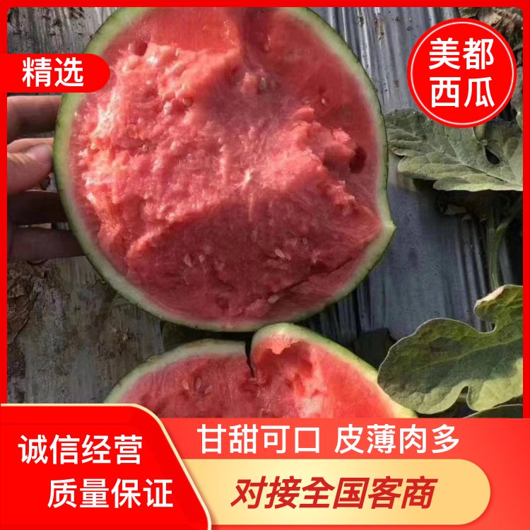 [美都西瓜批发]安徽宿州砀山县西瓜 0.20元/斤精品美都西瓜大 _ 一亩田