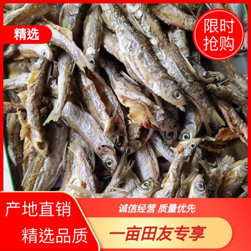 重庆油炸小鱼干，产地直销，品质保证，货源充足，欢迎选购