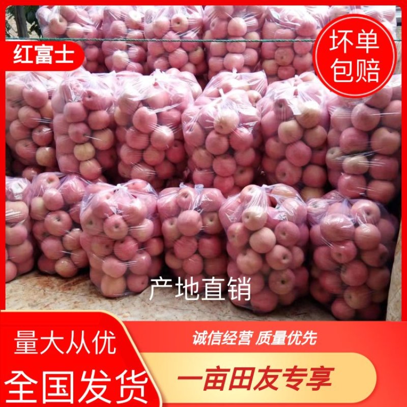 【苹果】正宗陕西红富士皮薄多汁膜袋纸袋规格齐全全国发货