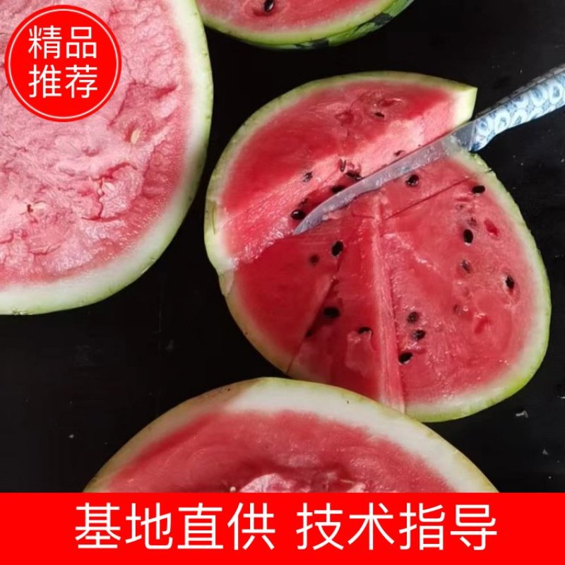 海南无仔大西瓜现场验货中，相中的老板看货给价。。。