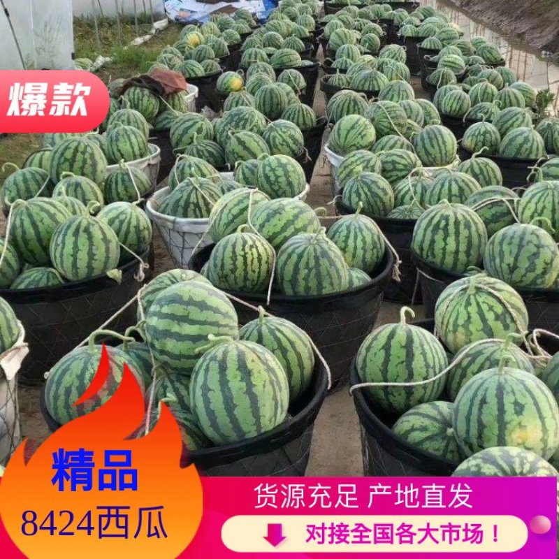 精品美都西瓜，诚信经营，产地直发，大量上市火爆热销中