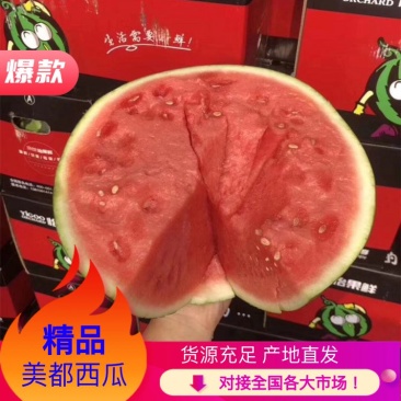 头茬美都西瓜大量上市需要的联系我包上车，质量保证