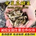 【精选推荐】优质花鲢鱼苗保证成活水产养殖场一手货源量大