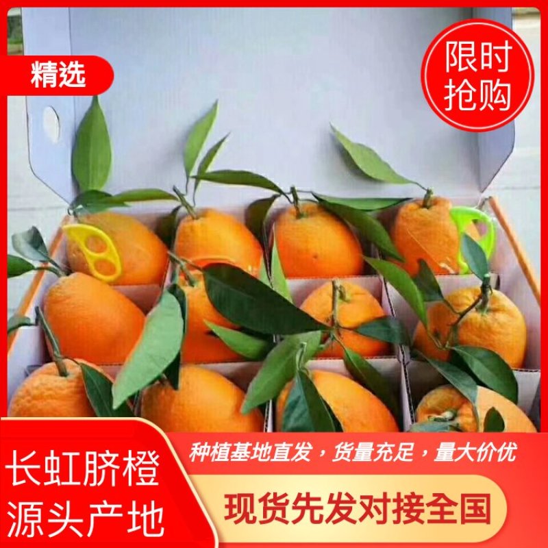 橙子，长虹脐橙产地直销果面好，提供分级打蜡一条龙服务