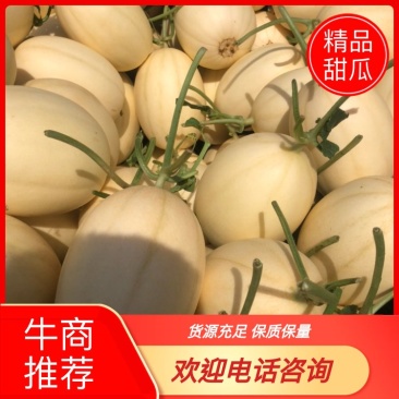 山东精品东方蜜1号甜瓜白皮红肉个头均匀糖度高