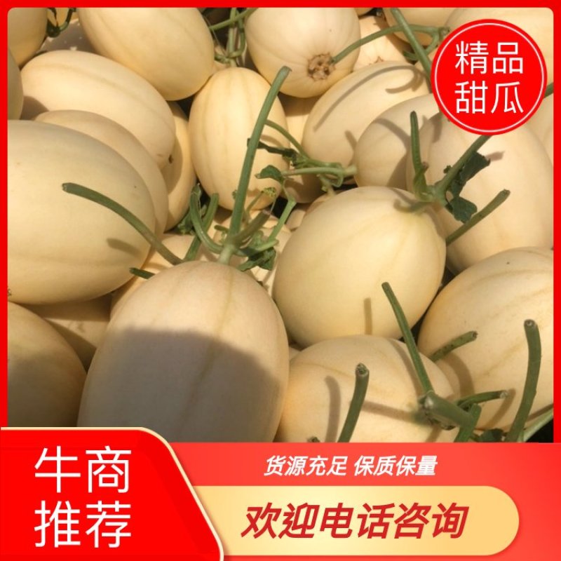 山东精品东方蜜1号甜瓜白皮红肉个头均匀糖度高