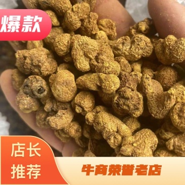 【保质保量】元胡浙江元胡无硫色泽自然保证质量产地直发