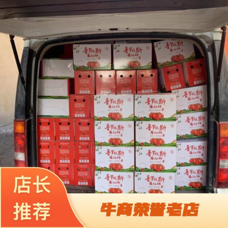 普罗旺斯西红柿保质保量诚信经营欢迎采购
