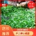 草头又名金花菜，色泽碧绿，味道鲜美，欢迎各位老板致电联系