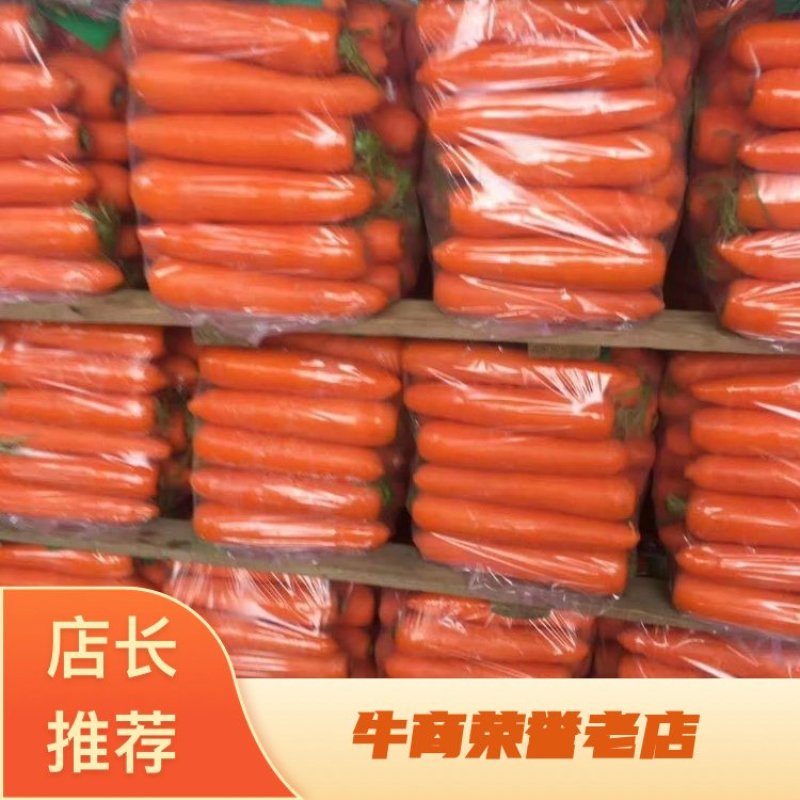 【精品】胡萝卜水洗三红产地自销量大价优可视频看货