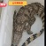 鳄鱼，鳄鱼苗子，大量批发零售70到80公分的鳄鱼苗子