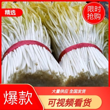 精品韭黄大量供应量大从优全国发货一手货源