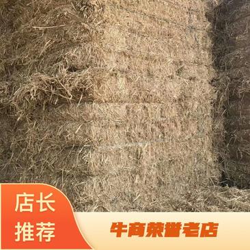 产地种植合作社供应大量稻草揉丝，轧段，粉碎打包稻无土无膜